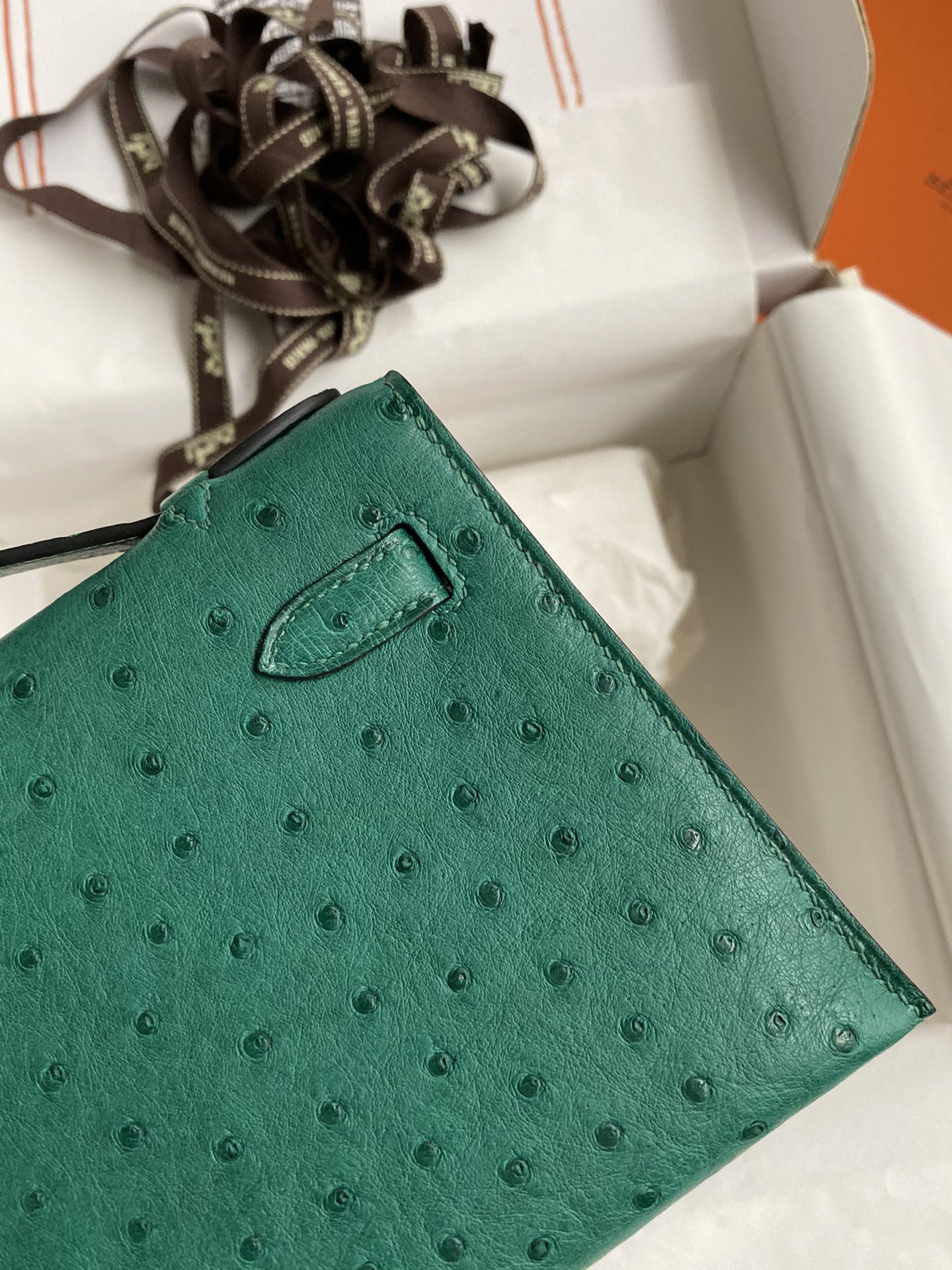 Hermes Mini Kelly Pochette 22cm Bag In Vert Vertigo Ostrich Leather